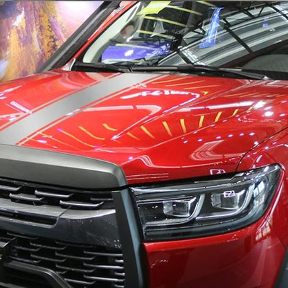 autocollant voiture gris