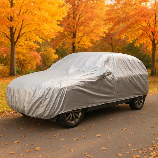 housse voiture automne