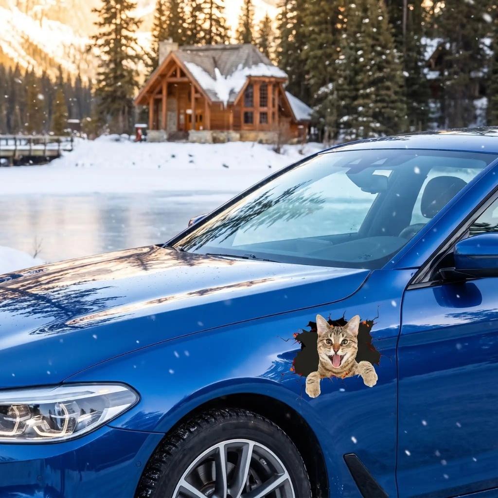 stickers voiture chat sur voiture bleu 