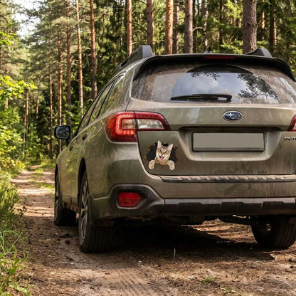 stickers voiture chat sur Subaru